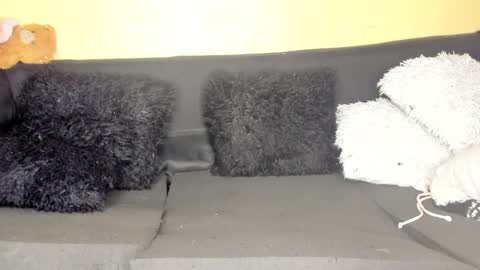 deli_la online show from March 28, 2026, 9:03 pm