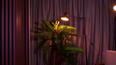 Delilah online show from February 7, 2026, 9:07 pm