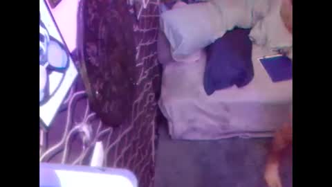 denveversbb online show from October 5, 2025, 11:30 am