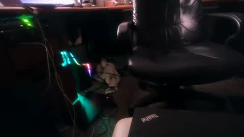 Snapshot of dfwgonewrong chatting on February 4, 2025, 10:54 am dfwgonewrong online show from February 4, 2025, 10:54 am