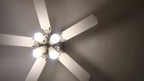 Snapshot of diamonde_steele chatting on December 12, 2024, 1:53 am diamonde_steele online show from December 12, 2024, 1:53 am