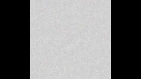 diana_lambert online show from December 23, 2024, 8:55 am