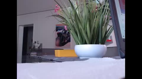 Snapshot of didiegal chatting on November 1, 2025, 10:28 am squirtcock online show from November 1, 2025, 10:28 am