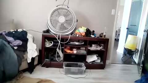 Daddy online show from March 19, 2026, 8:46 pm