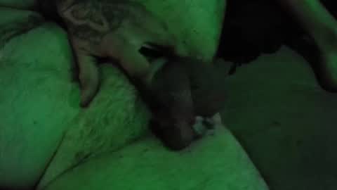 dikkdixon online show from February 28, 2026, 3:57 pm