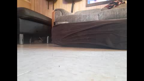 dildosnme22 online show from February 19, 2025, 7:48 pm