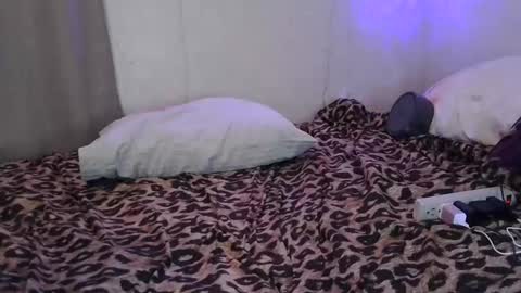 Sofie online show from February 4, 2026, 7:03 am