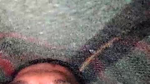 dyno online show from December 19, 2025, 5:31 pm