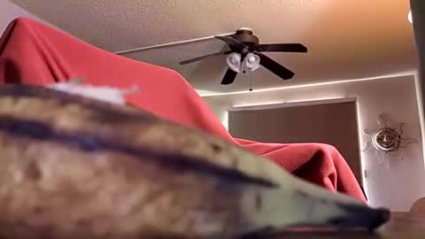 DIPSTIK online show from October 9, 2025, 6:17 pm