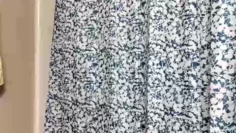 DIPSTIK online show from November 8, 2025, 7:12 pm