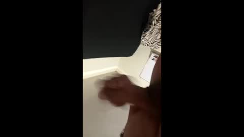 disidente1978 online show from April 1, 2026, 2:34 am