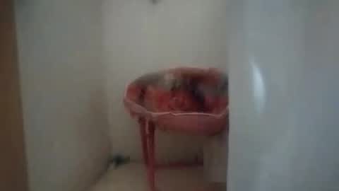 Snapshot of dixonbird41 chatting on October 6, 2025, 10:12 am dixonbird41 online show from October 6, 2025, 10:12 am