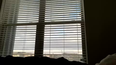 dj9469615 online show from March 22, 2026, 2:20 pm