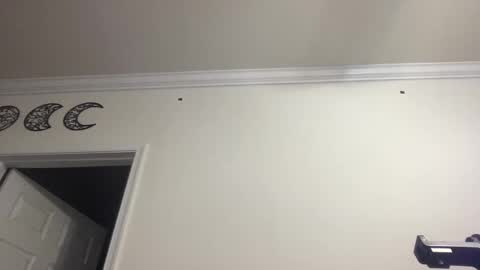 Snapshot of dlasian98 chatting on January 28, 2025, 11:39 pm DL Asian Sissy online show from January 28, 2025, 11:39 pm