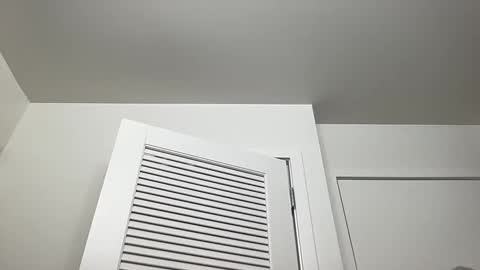 Snapshot of dlasian98 chatting on February 20, 2025, 11:32 pm DL Asian Sissy online show from February 20, 2025, 11:32 pm