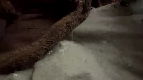 doingmek9 online show from February 20, 2025, 11:20 am