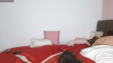 Snapshot of doll_and_sex chatting on January 7, 2025, 5:12 am Auro and Santiago online show from January 7, 2025, 5:12 am