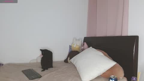 Snapshot of doll_and_sex chatting on January 16, 2025, 3:02 am Auro and Santiago online show from January 16, 2025, 3:02 am