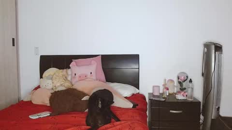 Snapshot of doll_and_sex chatting on February 24, 2025, 3:55 am Auro and Santiago online show from February 24, 2025, 3:55 am