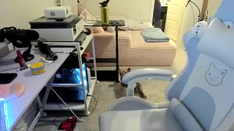 DOLLLFACE online show from March 22, 2026, 1:53 am