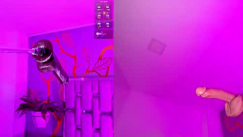 Snapshot of dollymae_ chatting on July 21, 2026, 4:04 am Mae online show from July 21, 2026, 4:04 am