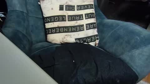 Snapshot of dondiego9999 chatting on January 6, 2025, 8:07 pm dondiego9999 online show from January 6, 2025, 8:07 pm