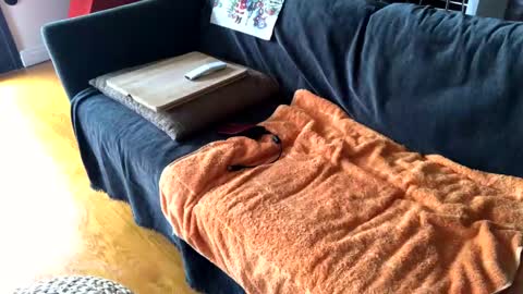 Snapshot of donizetti2017 chatting on December 3, 2024, 10:50 am Alfredo online show from December 3, 2024, 10:50 am