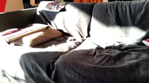 Snapshot of donizetti2017 chatting on December 16, 2024, 11:44 am Alfredo online show from December 16, 2024, 11:44 am