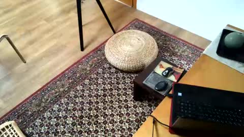 Snapshot of donizetti2017 chatting on February 2, 2025, 2:24 pm Alfredo online show from February 2, 2025, 2:24 pm