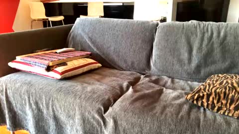 Snapshot of donizetti2017 chatting on February 4, 2025, 10:21 am Alfredo online show from February 4, 2025, 10:21 am