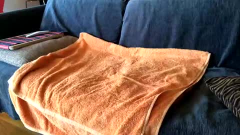 Snapshot of donizetti2017 chatting on February 7, 2025, 8:55 am Alfredo online show from February 7, 2025, 8:55 am