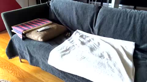 Snapshot of donizetti2017 chatting on February 17, 2025, 9:46 am Alfredo online show from February 17, 2025, 9:46 am