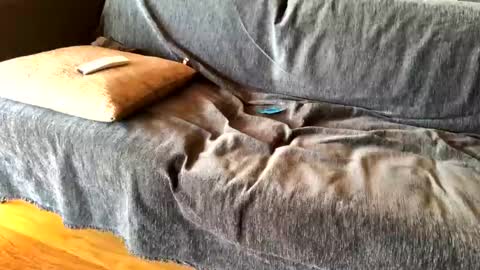 Snapshot of donizetti2017 chatting on February 20, 2025, 8:39 am Alfredo online show from February 20, 2025, 8:39 am