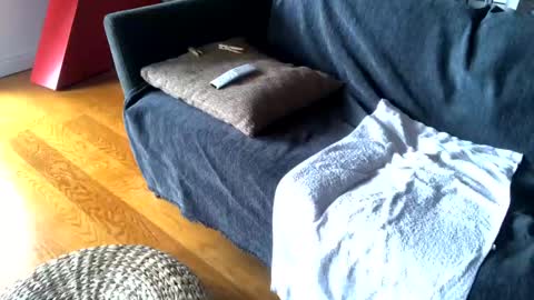 Snapshot of donizetti2017 chatting on February 26, 2025, 9:10 am Alfredo online show from February 26, 2025, 9:10 am