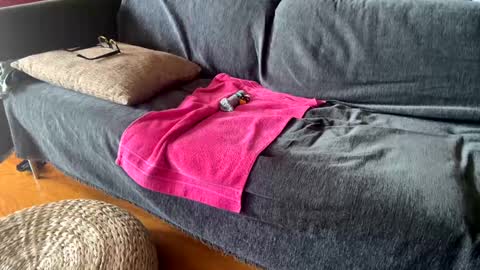 Snapshot of donizetti2017 chatting on September 11, 2025, 11:10 am Alfredo online show from September 11, 2025, 11:10 am