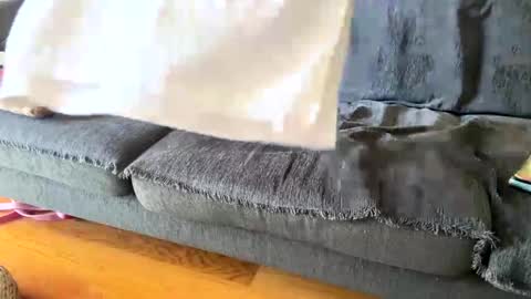 Snapshot of donizetti2017 chatting on September 19, 2025, 11:00 am Alfredo online show from September 19, 2025, 11:00 am