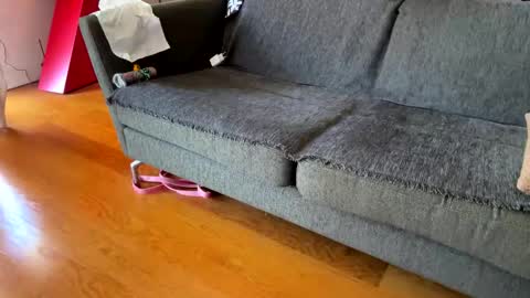 Snapshot of donizetti2017 chatting on September 24, 2025, 8:39 am Alfredo online show from September 24, 2025, 8:39 am