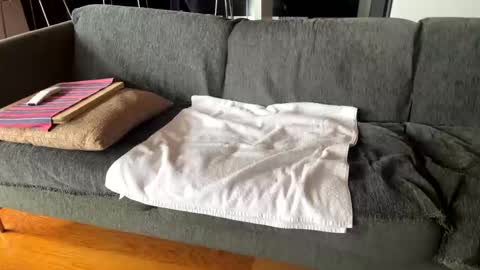 Snapshot of donizetti2017 chatting on October 7, 2025, 10:12 am Alfredo online show from October 7, 2025, 10:12 am