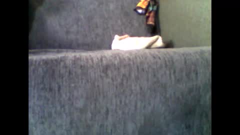 Alfredo online show from November 10, 2025, 7:51 am