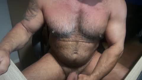 Snapshot of donk566 chatting on February 1, 2026, 11:53 am donk566 online show from February 1, 2026, 11:53 am