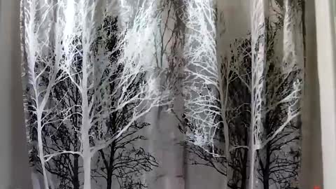 donschlongs online show from January 21, 2025, 8:00 pm