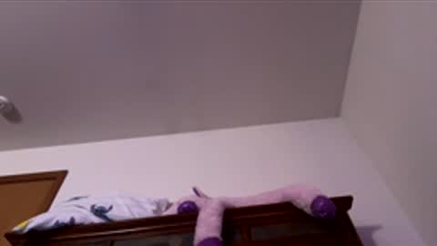 Snapshot of doodlez224472 chatting on December 2, 2025, 12:54 pm doodlez224472 online show from December 2, 2025, 12:54 pm