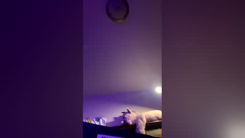 Snapshot of doodlez224472 chatting on April 16, 2026, 1:56 pm doodlez224472 online show from April 16, 2026, 1:56 pm