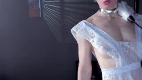 Dorothy Next stream on Monday at 3am-9am online show from April 18, 2026, 9:04 pm