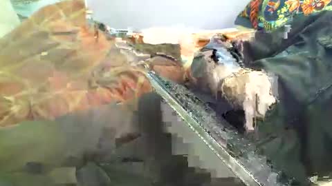 Snapshot of dorsetbiker714 chatting on April 18, 2026, 12:20 pm Hello welcome to Slutsville I am the Naked Chef really but you may call me Peter online show from April 18, 2026, 12:20 pm