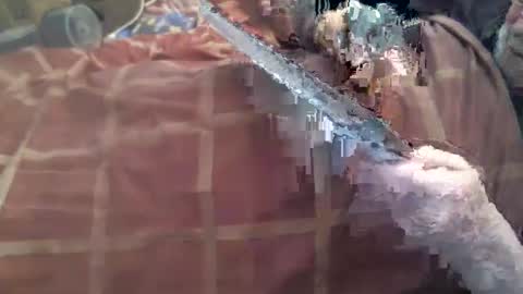 Snapshot of dorsetbiker714 chatting on May 13, 2026, 10:12 am Hello welcome to Slutsville I am the Naked Chef really but you may call me Peter online show from May 13, 2026, 10:12 am