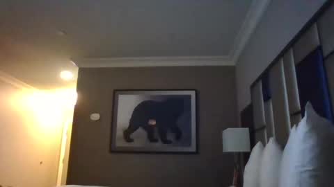 DreadedChefLoXXX online show from March 3, 2025, 6:59 am