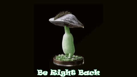 Tara  Sonny online show from January 28, 2025, 7:21 pm