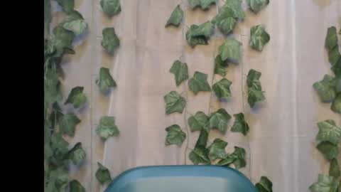 Snapshot of dripqueenx chatting on September 14, 2025, 8:08 pm linda online show from September 14, 2025, 8:08 pm