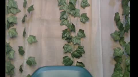 Snapshot of dripqueenx chatting on September 16, 2025, 3:02 pm linda online show from September 16, 2025, 3:02 pm